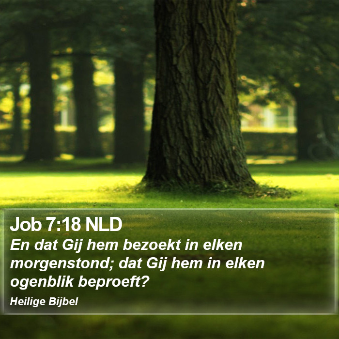 Job 7:18 NLD Bible Study