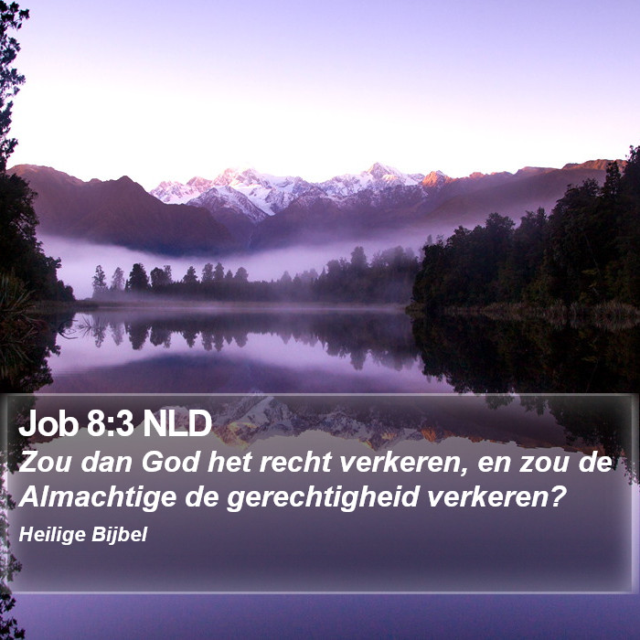 Job 8:3 NLD Bible Study