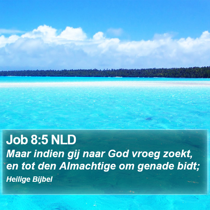 Job 8:5 NLD Bible Study