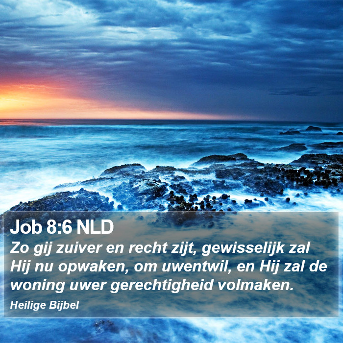 Job 8:6 NLD Bible Study