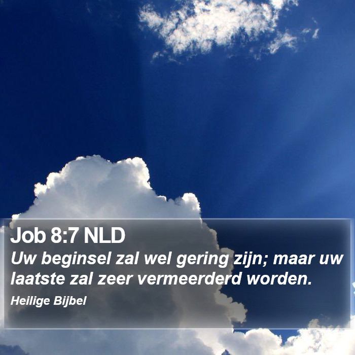 Job 8:7 NLD Bible Study