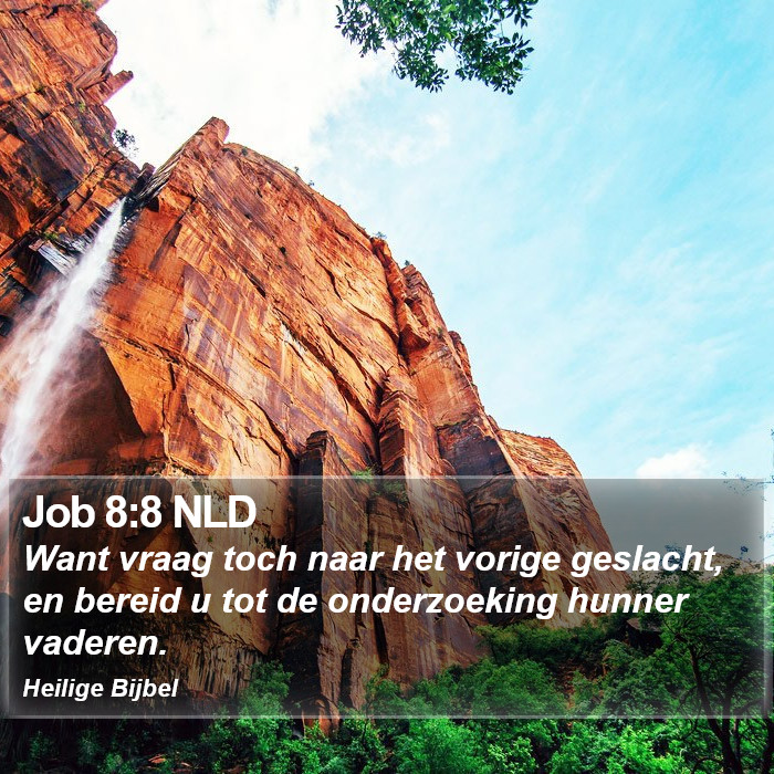 Job 8:8 NLD Bible Study