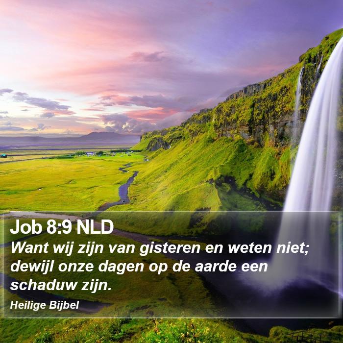 Job 8:9 NLD Bible Study