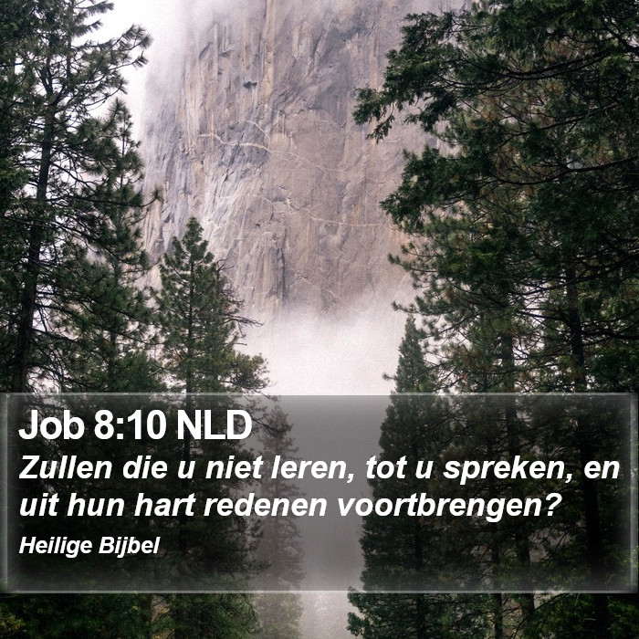 Job 8:10 NLD Bible Study