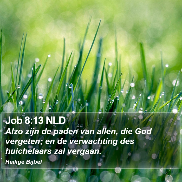 Job 8:13 NLD Bible Study