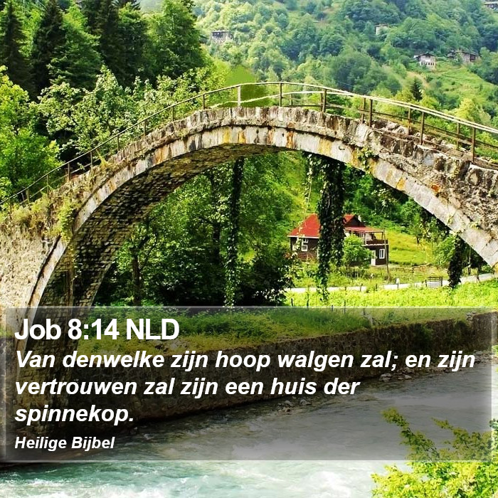 Job 8:14 NLD Bible Study