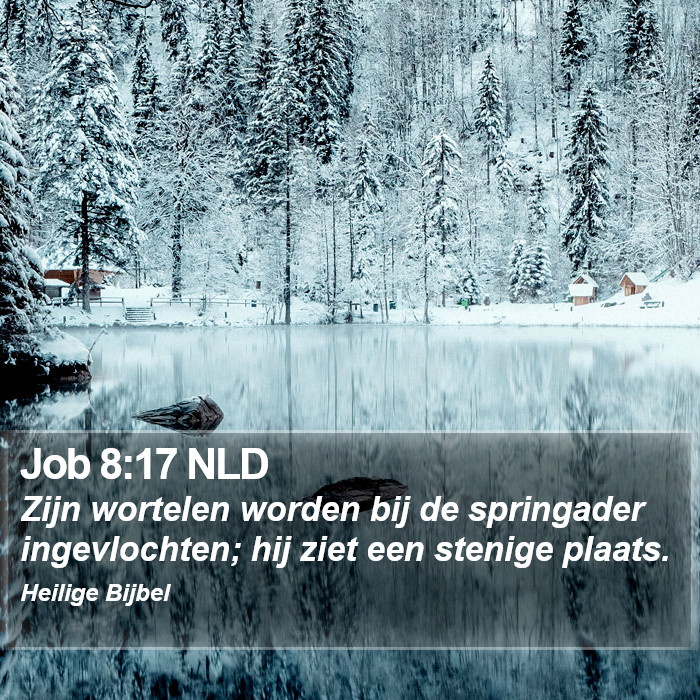 Job 8:17 NLD Bible Study