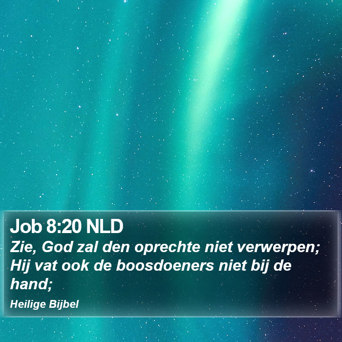 Job 8:20 NLD Bible Study