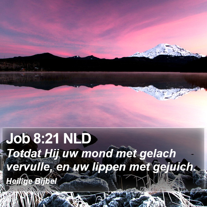 Job 8:21 NLD Bible Study