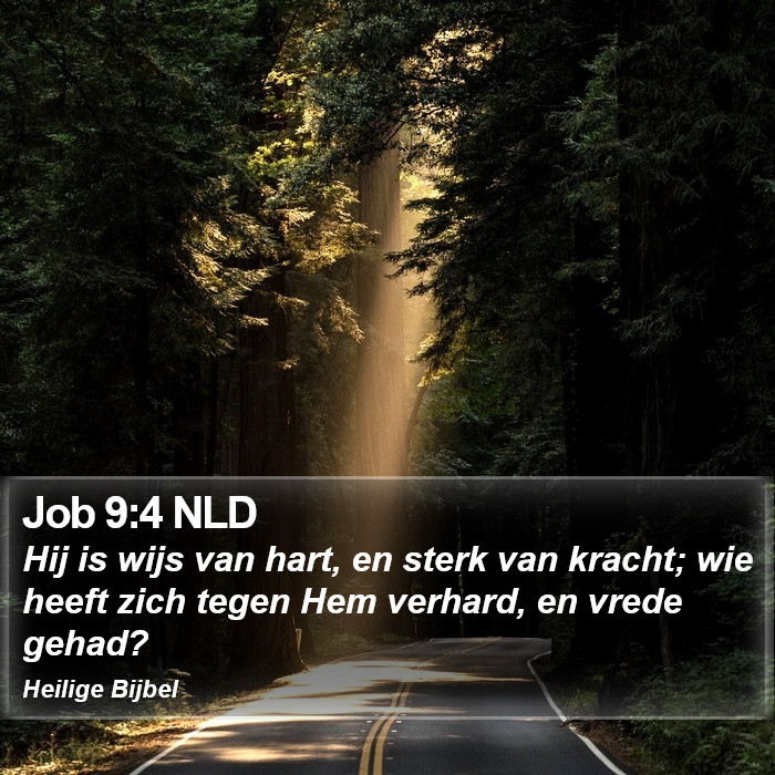 Job 9:4 NLD Bible Study