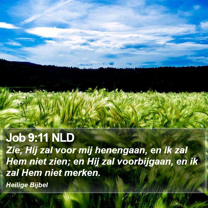 Job 9:11 NLD Bible Study