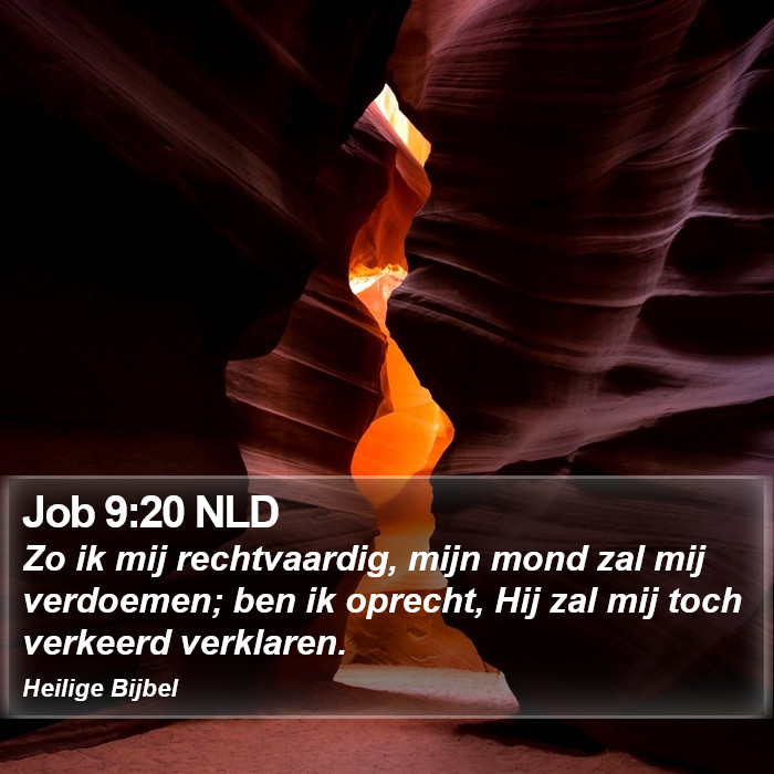 Job 9:20 NLD Bible Study