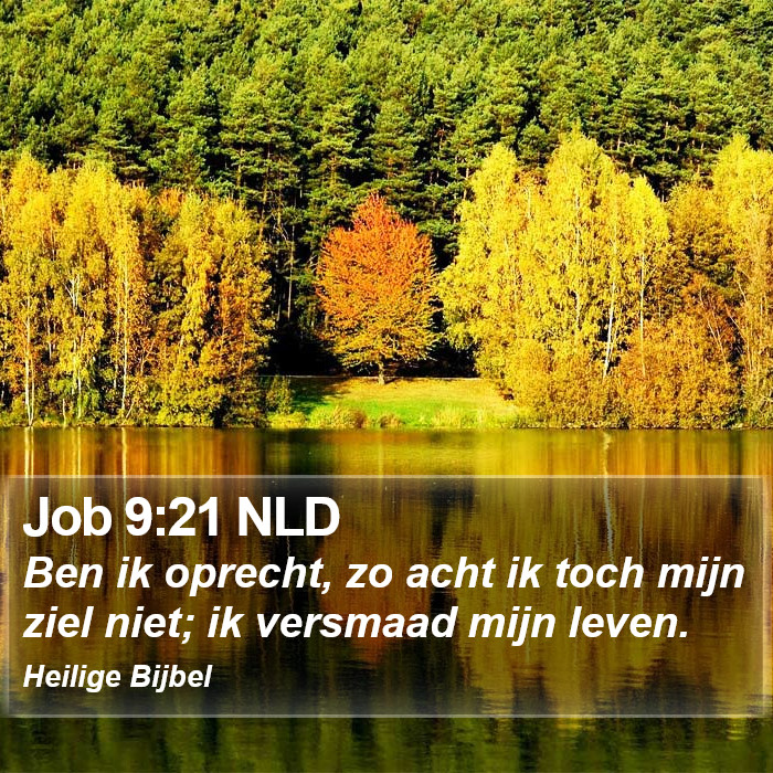 Job 9:21 NLD Bible Study