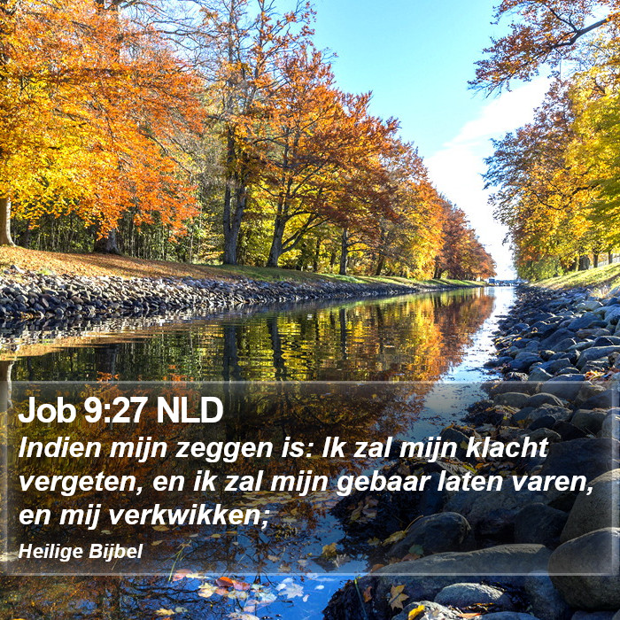 Job 9:27 NLD Bible Study