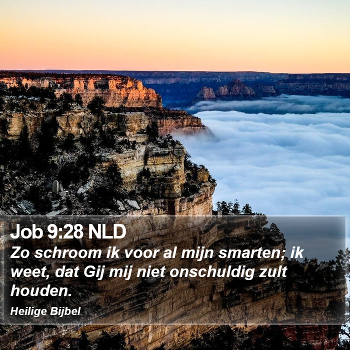 Job 9:28 NLD Bible Study