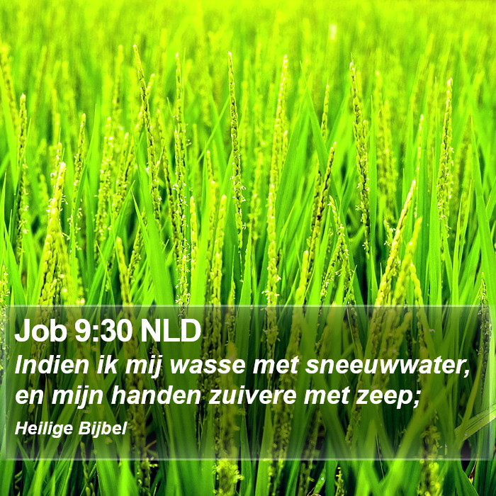 Job 9:30 NLD Bible Study