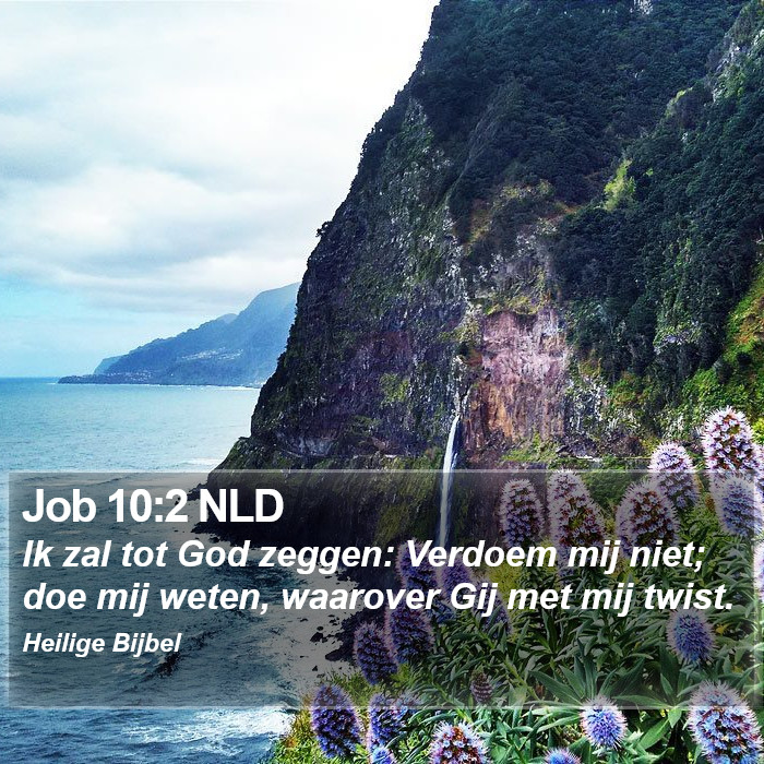 Job 10:2 NLD Bible Study