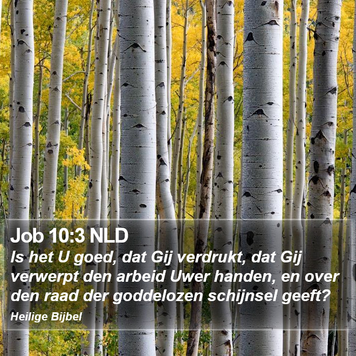 Job 10:3 NLD Bible Study