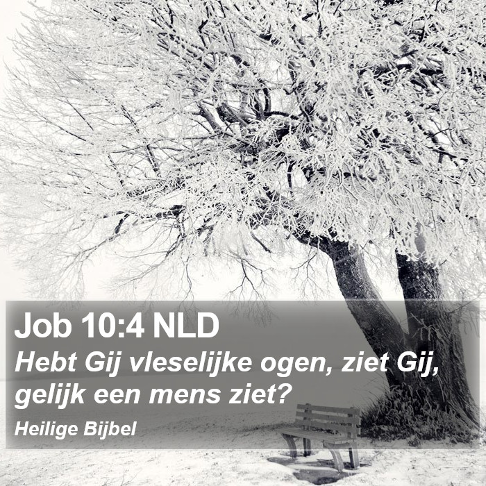 Job 10:4 NLD Bible Study