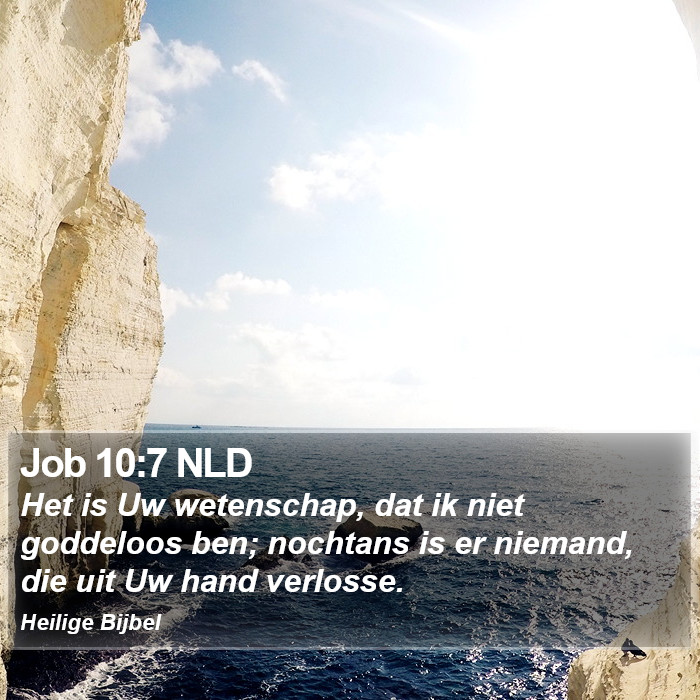 Job 10:7 NLD Bible Study