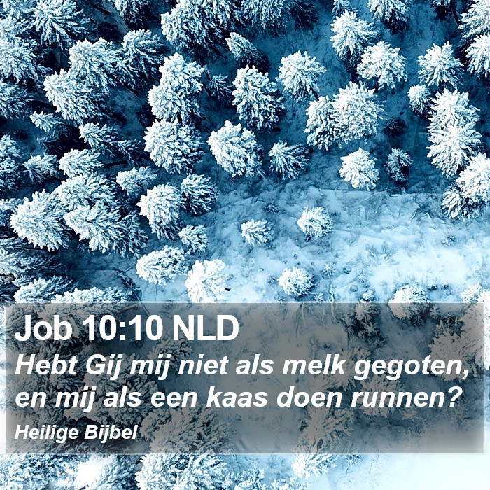 Job 10:10 NLD Bible Study