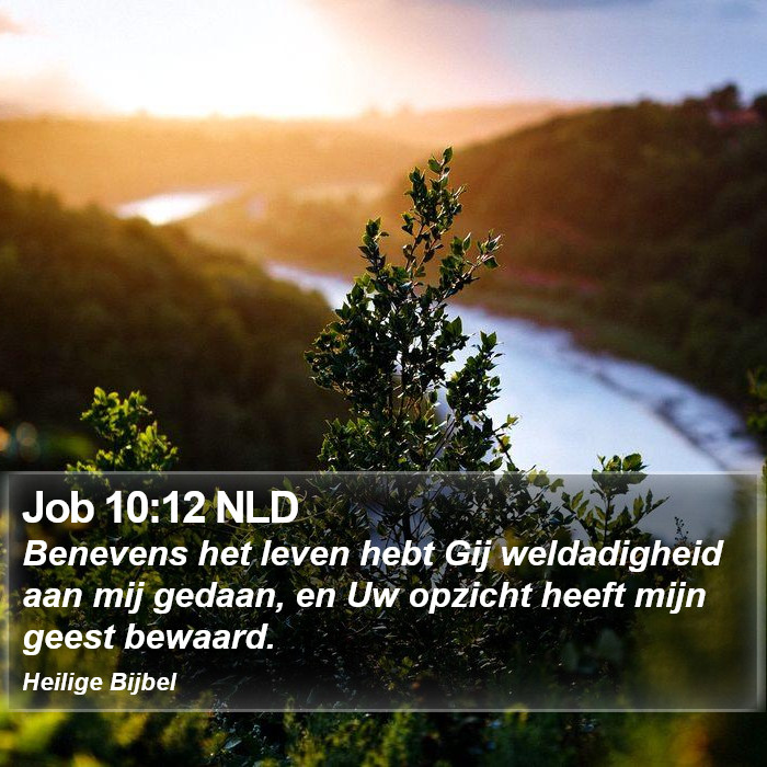 Job 10:12 NLD Bible Study