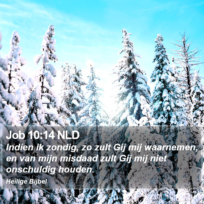 Job 10:14 NLD Bible Study