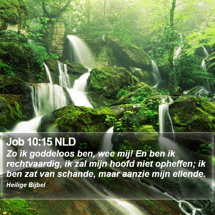 Job 10:15 NLD Bible Study