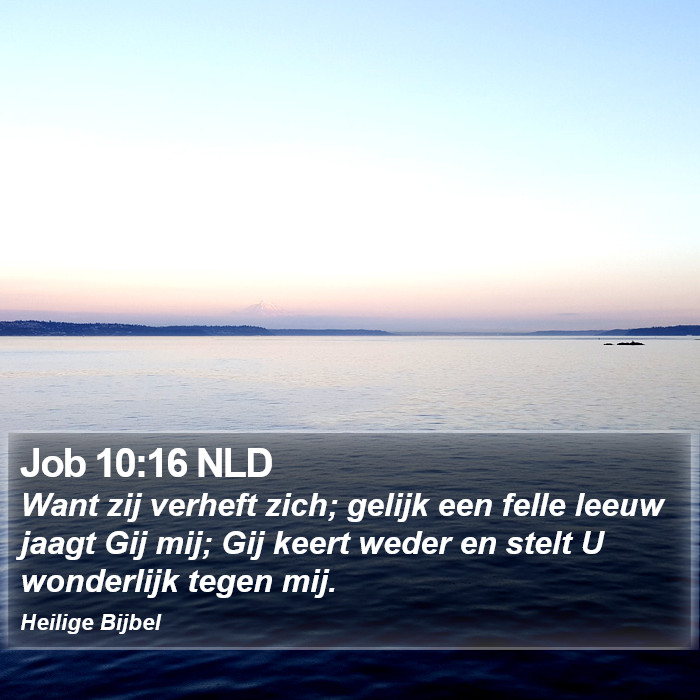 Job 10:16 NLD Bible Study