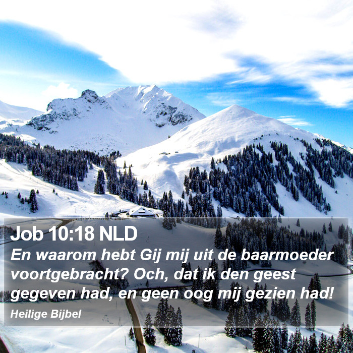 Job 10:18 NLD Bible Study