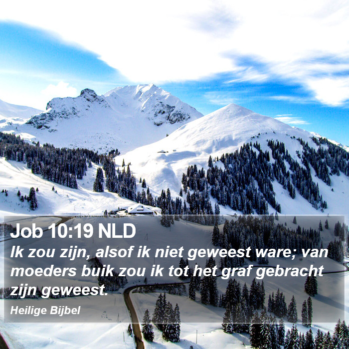 Job 10:19 NLD Bible Study