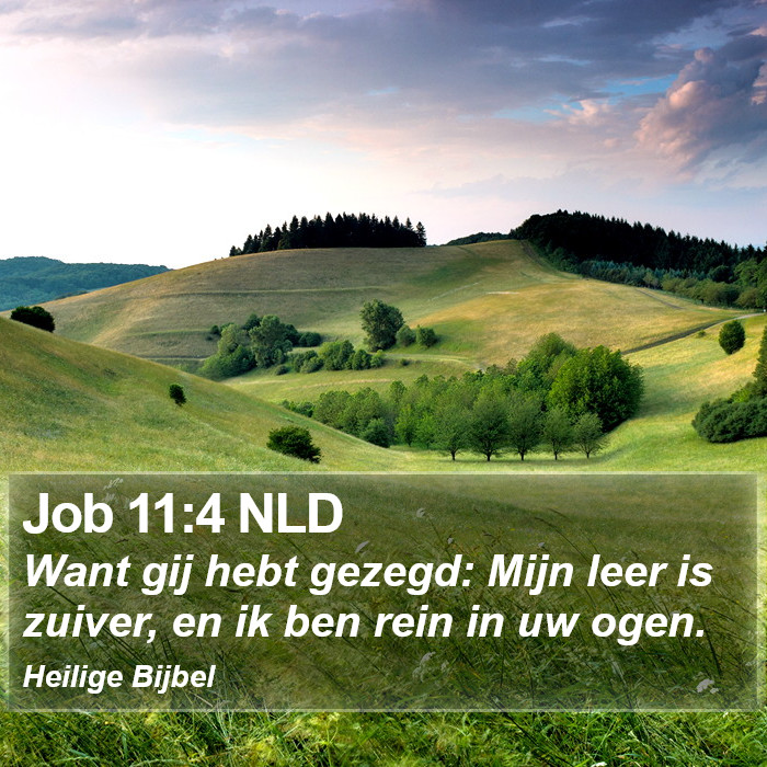 Job 11:4 NLD Bible Study
