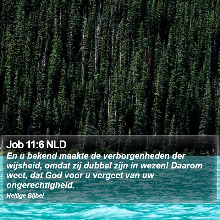 Job 11:6 NLD Bible Study