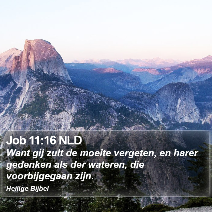 Job 11:16 NLD Bible Study