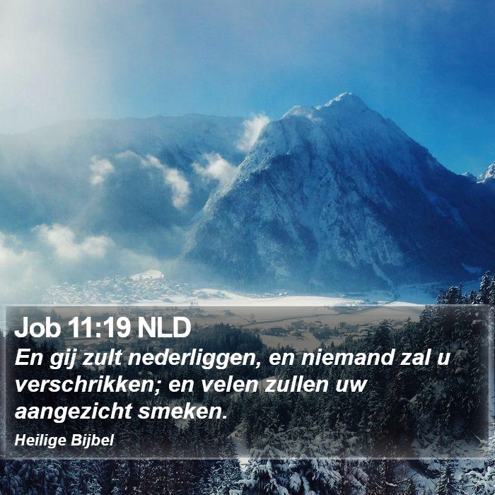 Job 11:19 NLD Bible Study