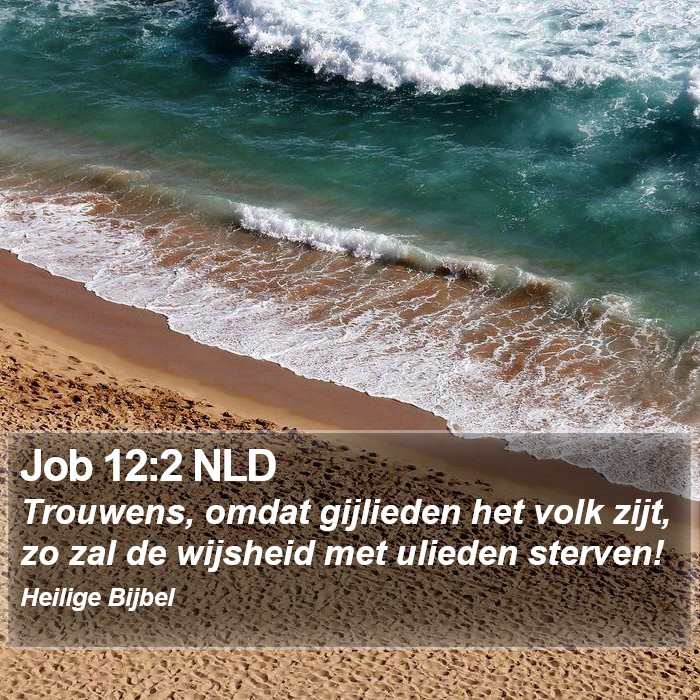 Job 12:2 NLD Bible Study