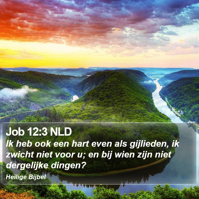 Job 12:3 NLD Bible Study