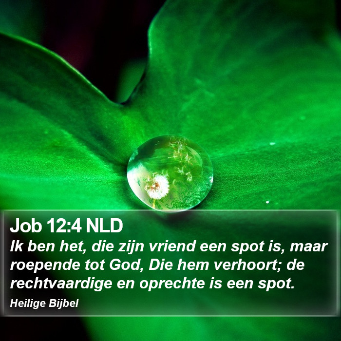Job 12:4 NLD Bible Study