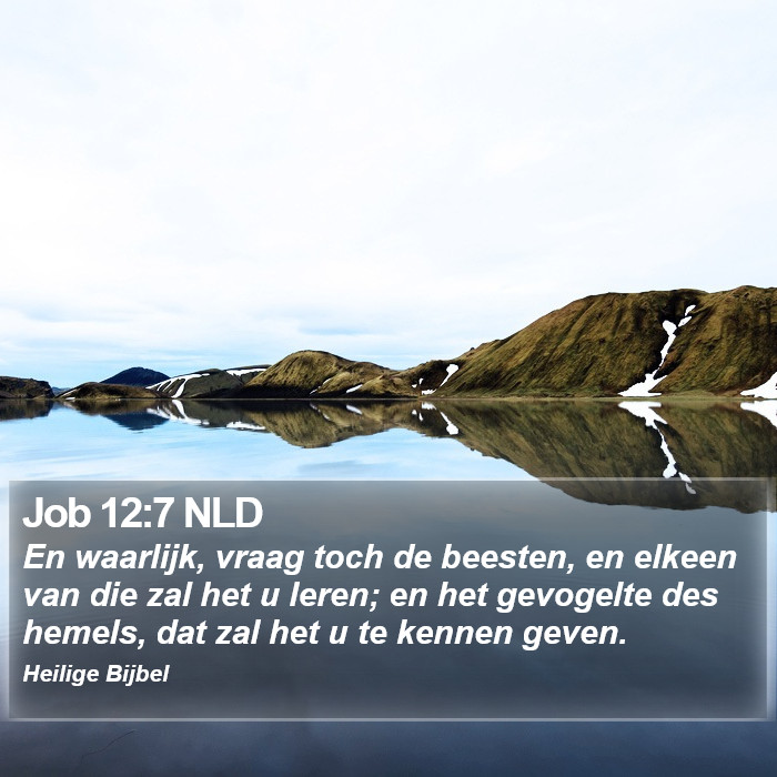 Job 12:7 NLD Bible Study