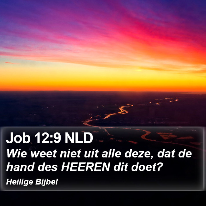 Job 12:9 NLD Bible Study