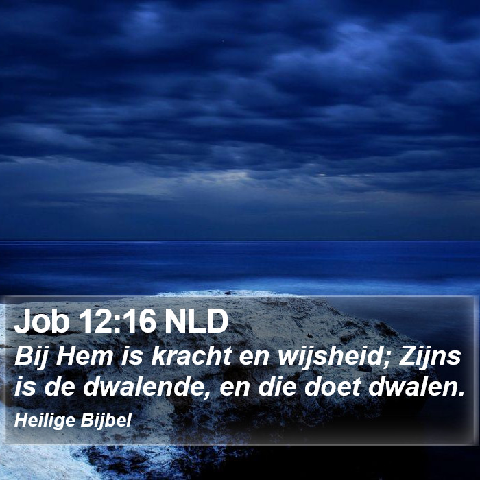 Job 12:16 NLD Bible Study