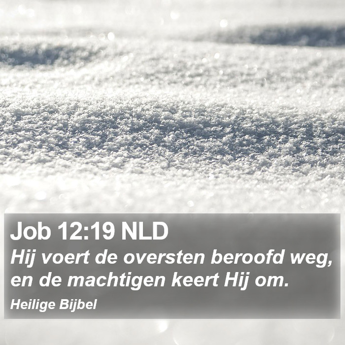 Job 12:19 NLD Bible Study
