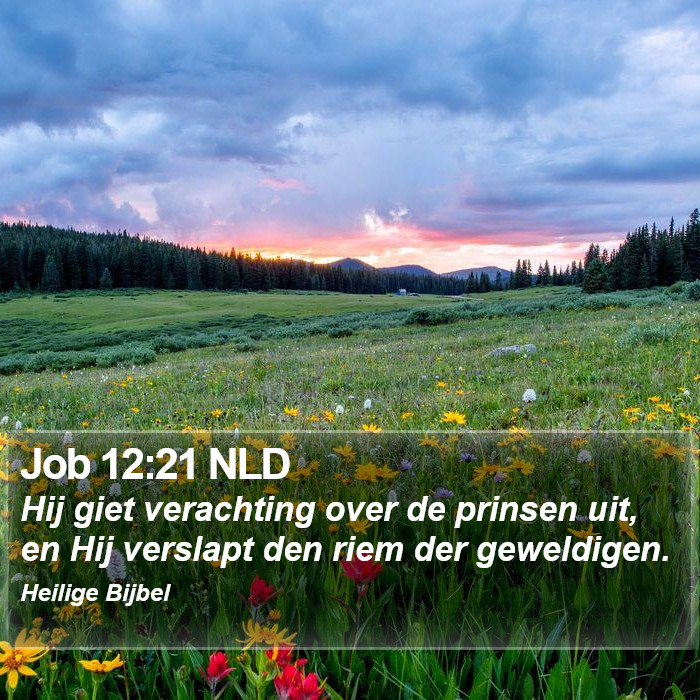 Job 12:21 NLD Bible Study