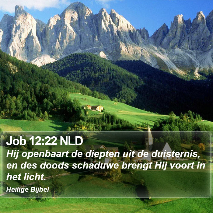 Job 12:22 NLD Bible Study