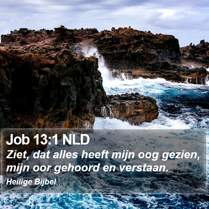 Job 13:1 NLD Bible Study