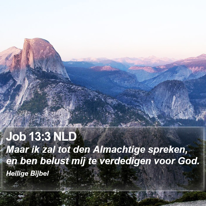 Job 13:3 NLD Bible Study