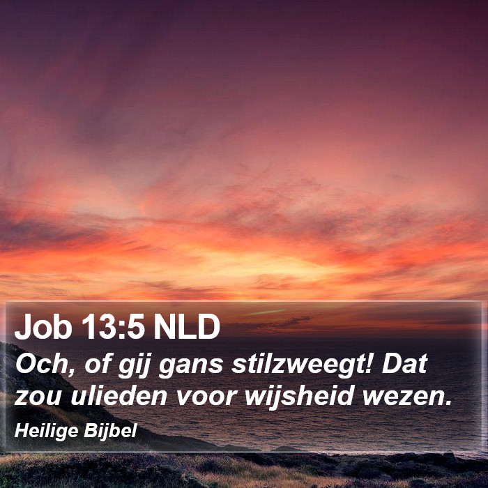 Job 13:5 NLD Bible Study