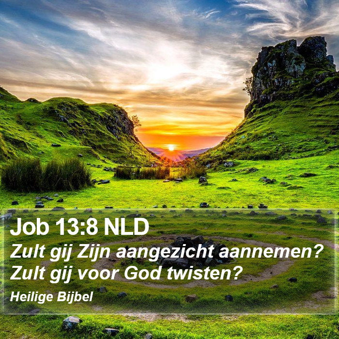 Job 13:8 NLD Bible Study