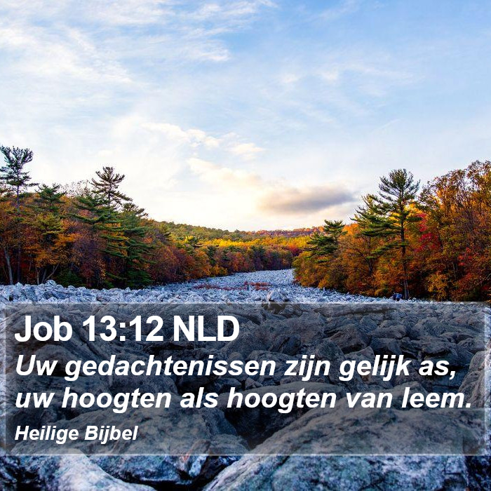 Job 13:12 NLD Bible Study