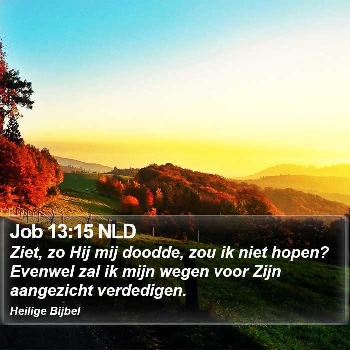 Job 13:15 NLD Bible Study